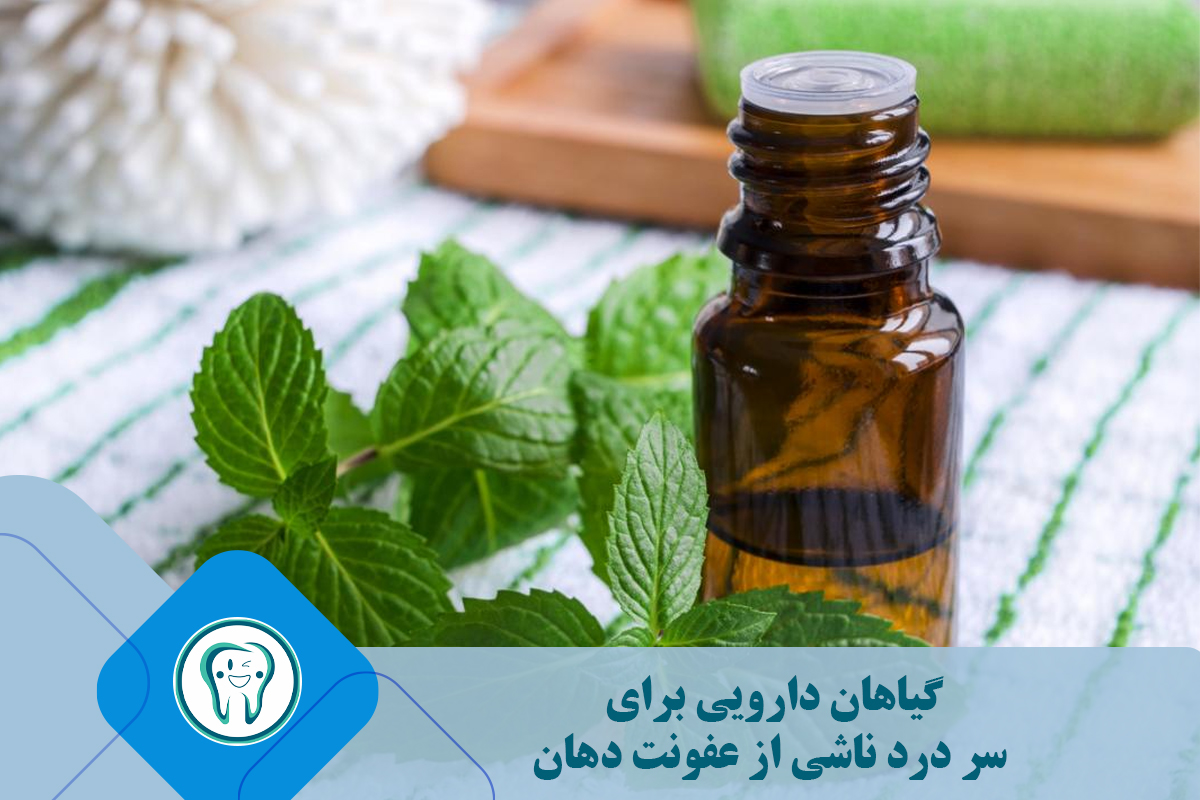 گیاهان دارویی برای سر درد ناشی از عفونت دهان