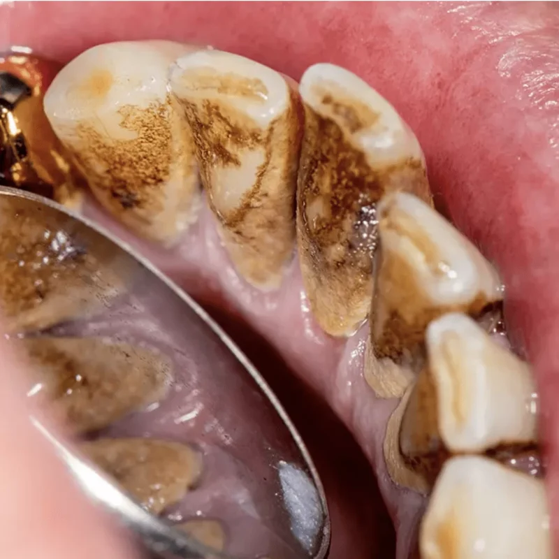 Screen Shot 2023 02 17 at 10.32.57 1342x1342 1