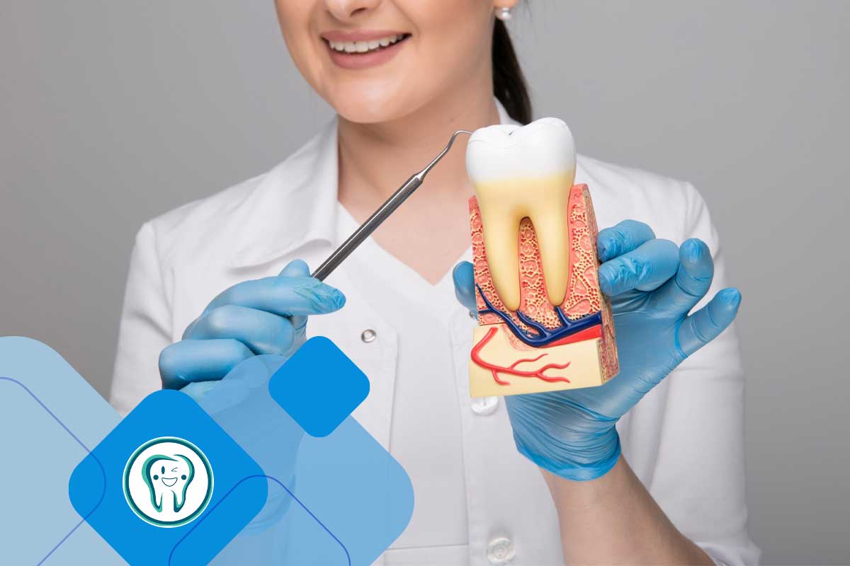 فرق جرم گیری لثه با جرم گیری دندان